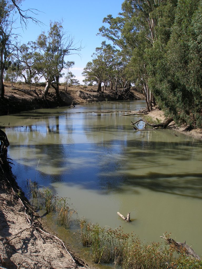 Edward River fishing Murray Cod by stevan djurickovic