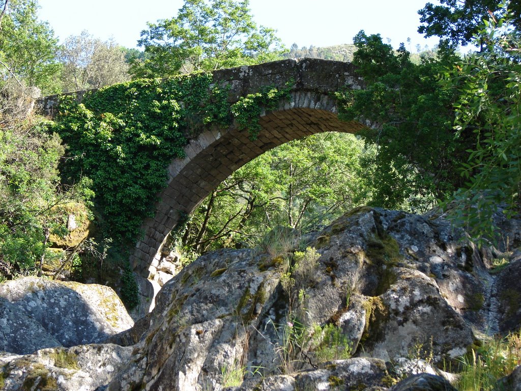 Ponte da Mizarela by Andre Luis Acosta