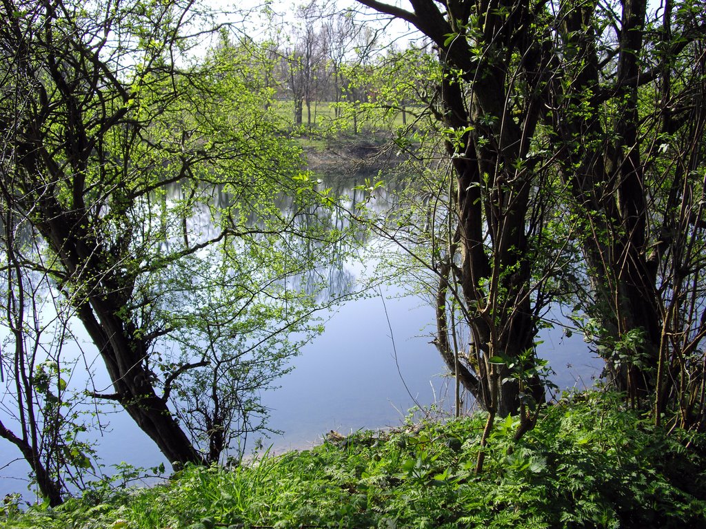 Gorton Lower Reservior by Andrew Lane