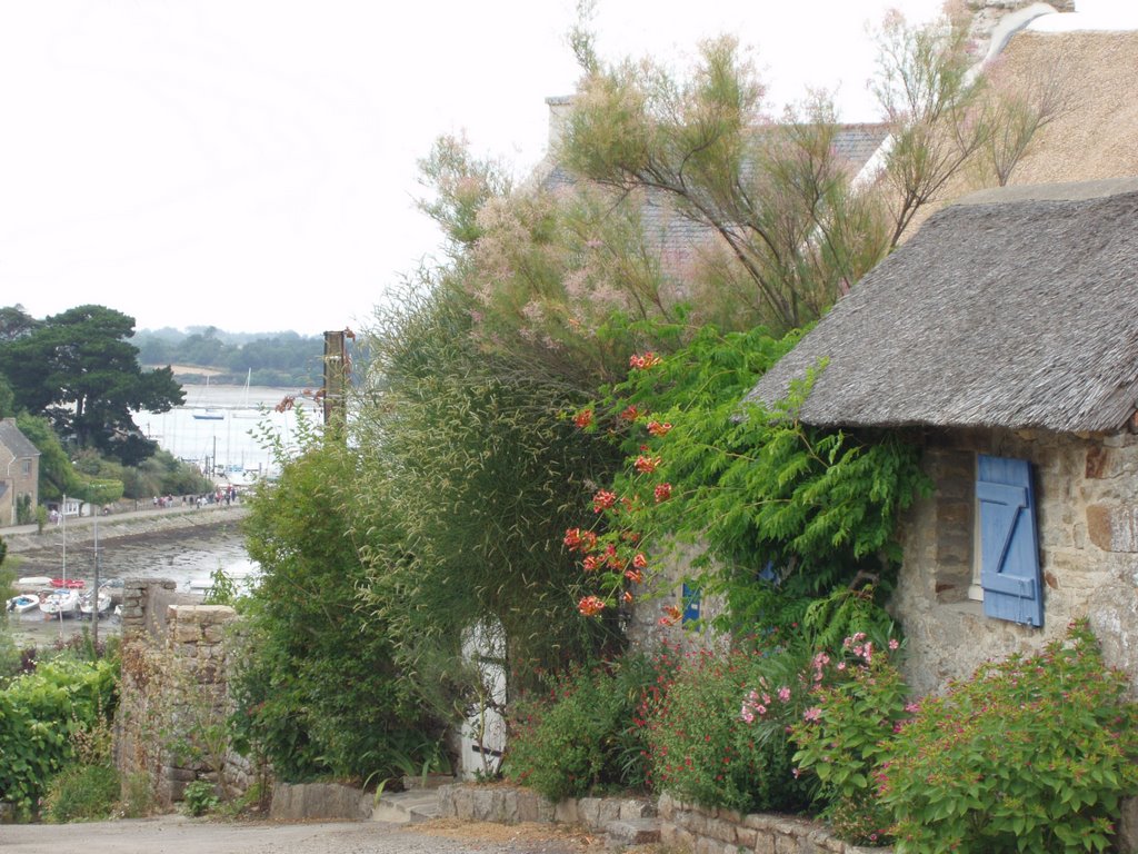 Ile aux Moines, Morbihan by MattKad.