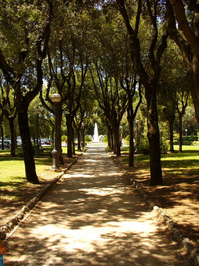 Sienna; Parco della Rimembranza by Mark Schouten