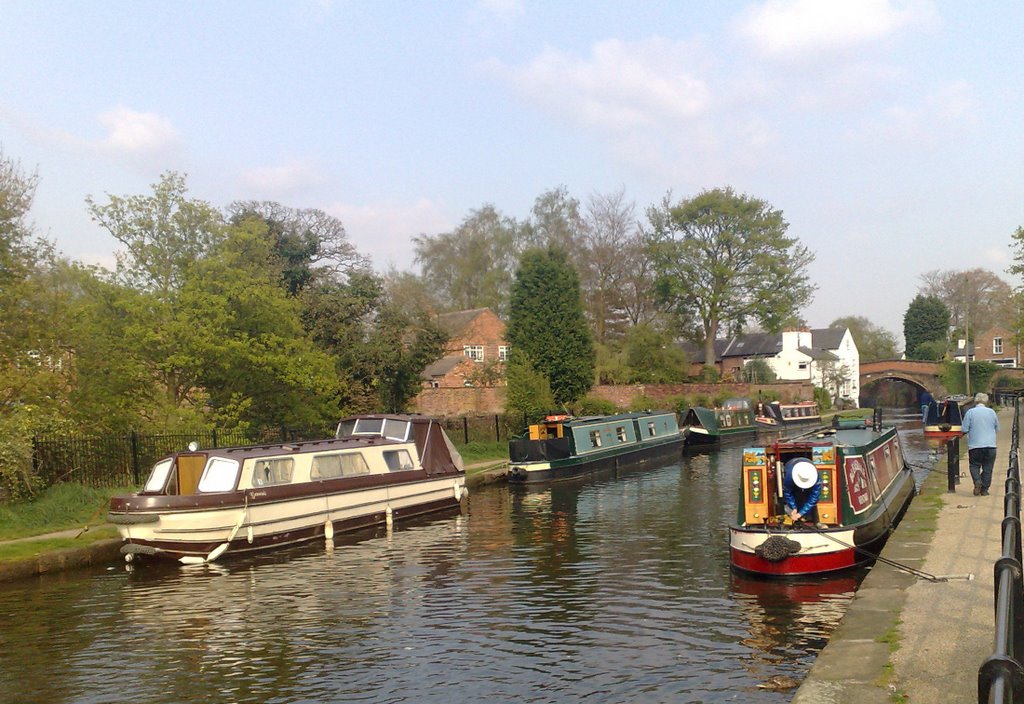 Canal at Lymm by Brian Jones