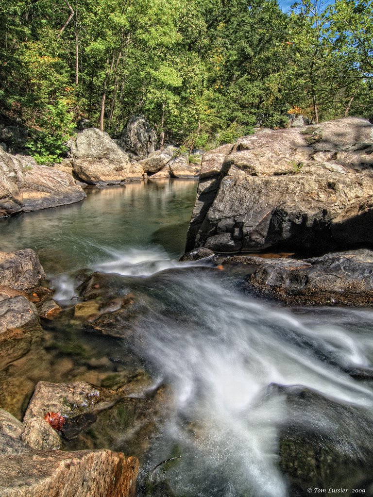 Above the riffles - Difficult Run by Tom Lussier Photography