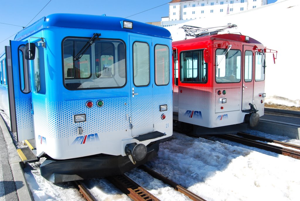 Trains at Rigi by l_defriend