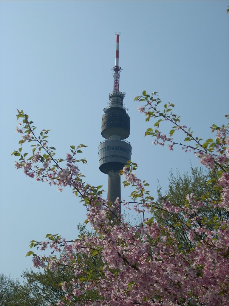 Dortmund Westfalenpark Florianturm April 2009 by DortmundWestfalica