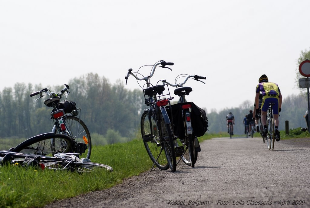 Nete canal near Kessel by leike.c