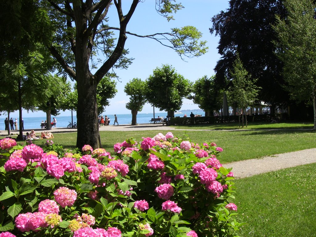 Konstanz,Park by Sofia Klementieva