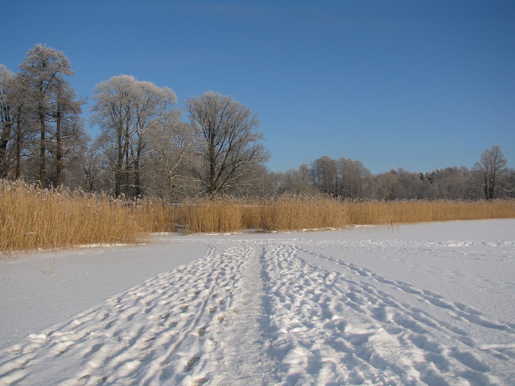 Winter road by prostovovka