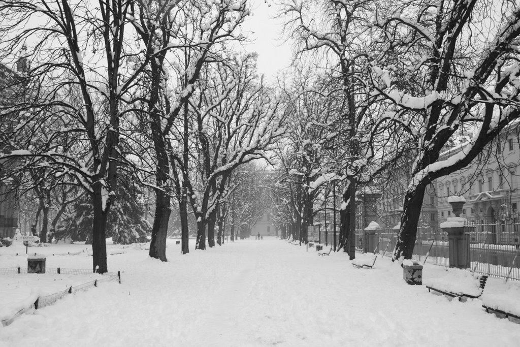 Giardini di Porta Venezia by daniele waikiki