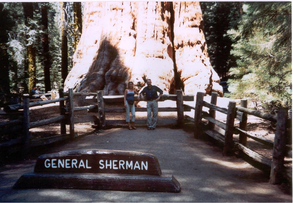 Sequoia national park california by faghe56