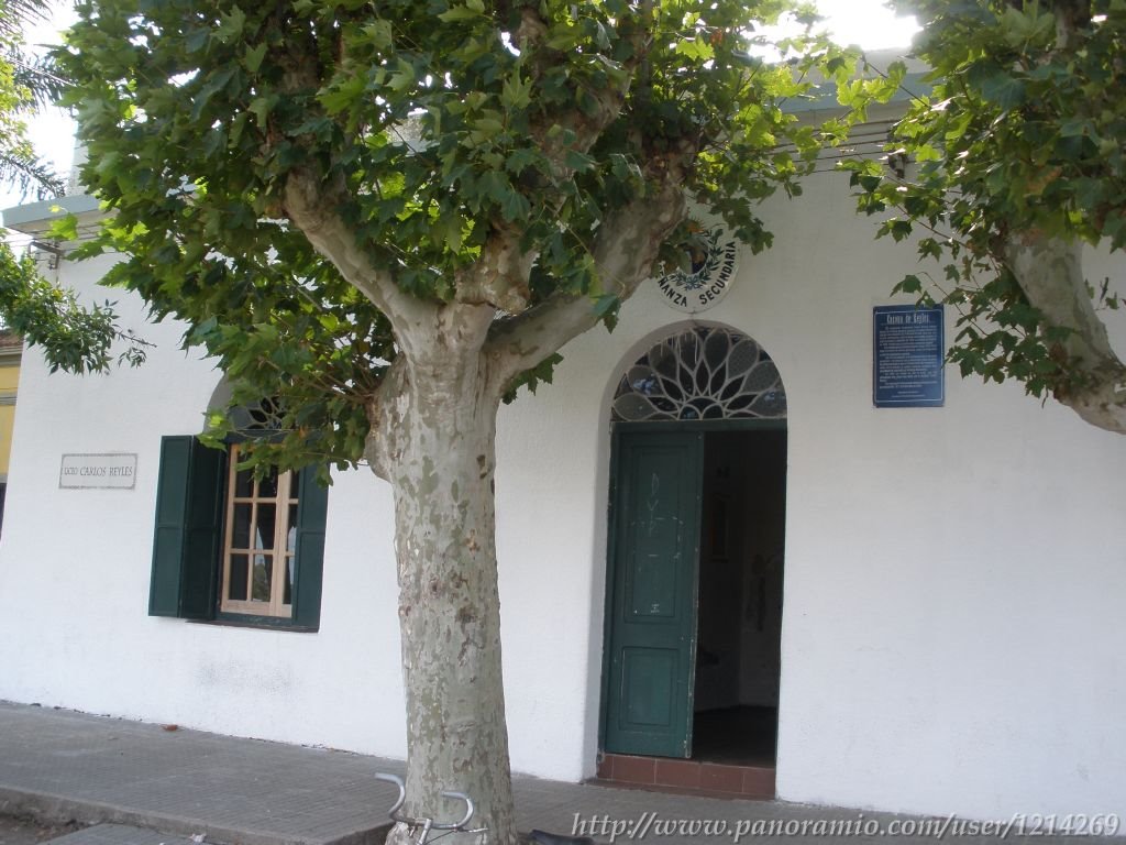 Antigua casa de Reyles (actual liceo) by diesgomo