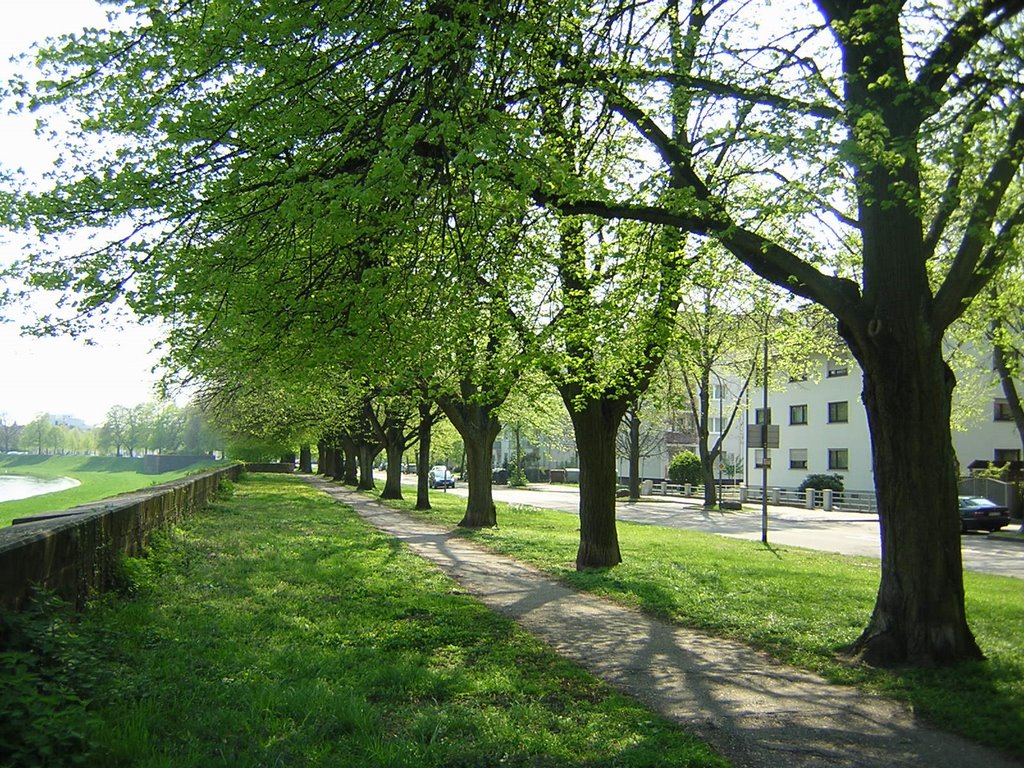 Rastatt, neben Hinderburgbrücke by Sofia Klementieva