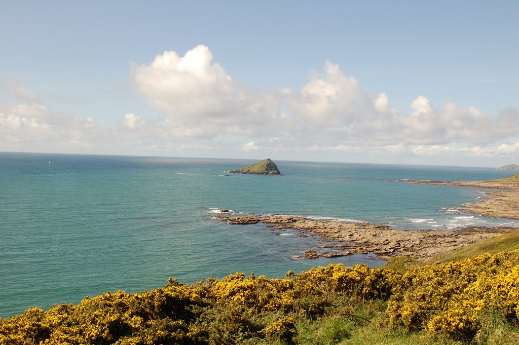 Wembury Beach and the Great Mew Stone, Devon by DigitalFeel