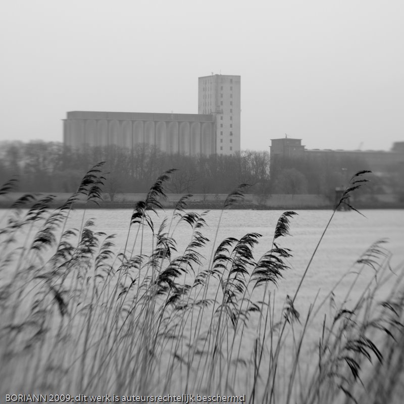 Antwerpen Linkeroever -zicht op haven by Richard Buijsman