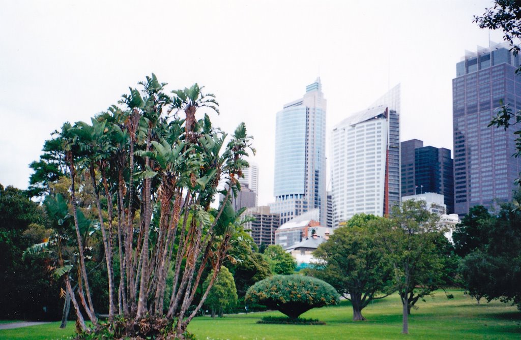 Royal Botanical Garden by James Roberts (Jampp…