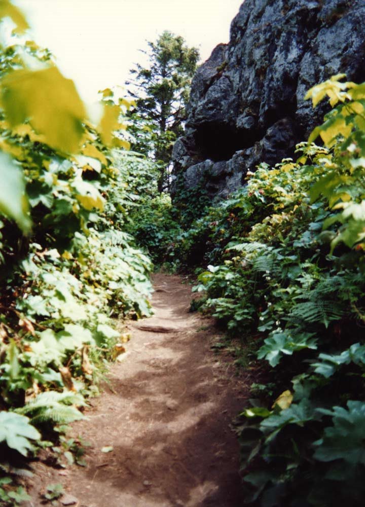 Trail Along The Rim by John L.