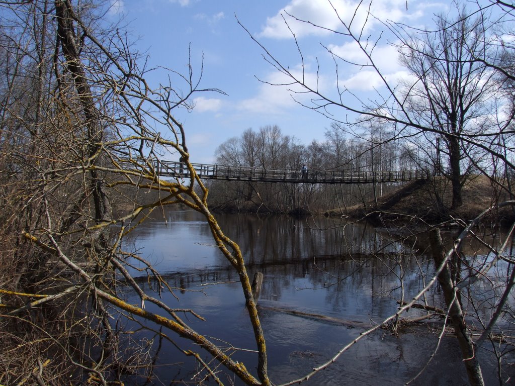 Bridge over River Iecava 2 by Modris Putns