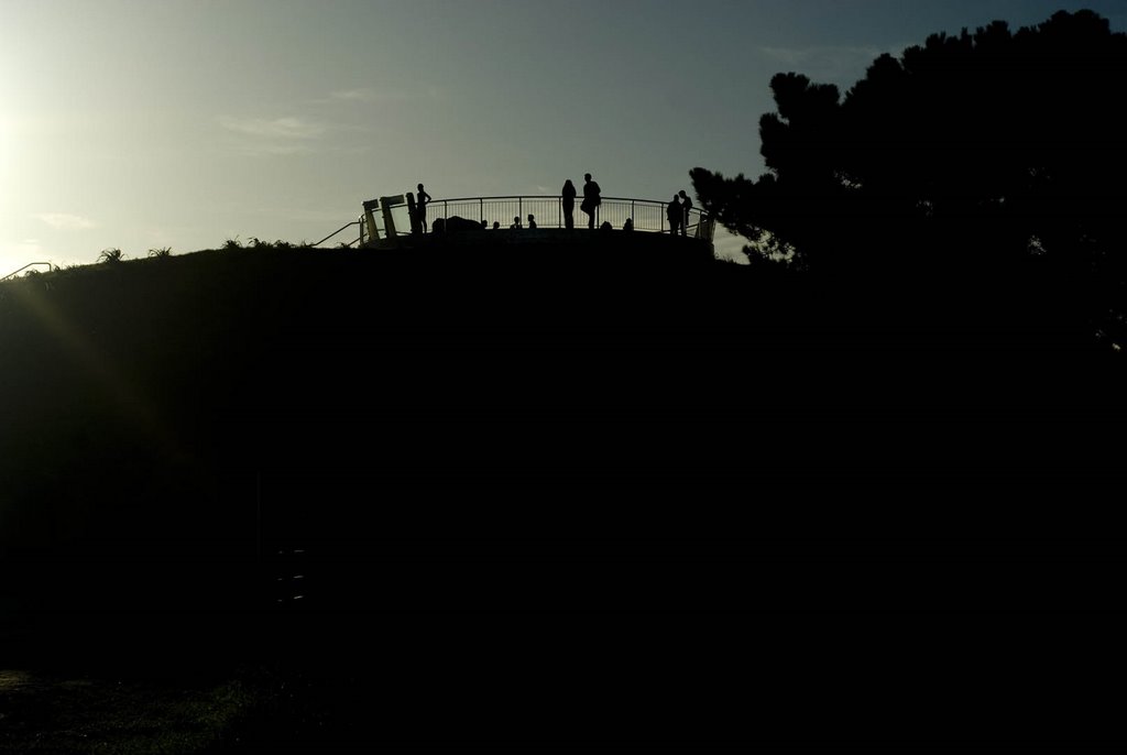 Wellington: Mt. Victoria Lookout by GandalfTheWhite