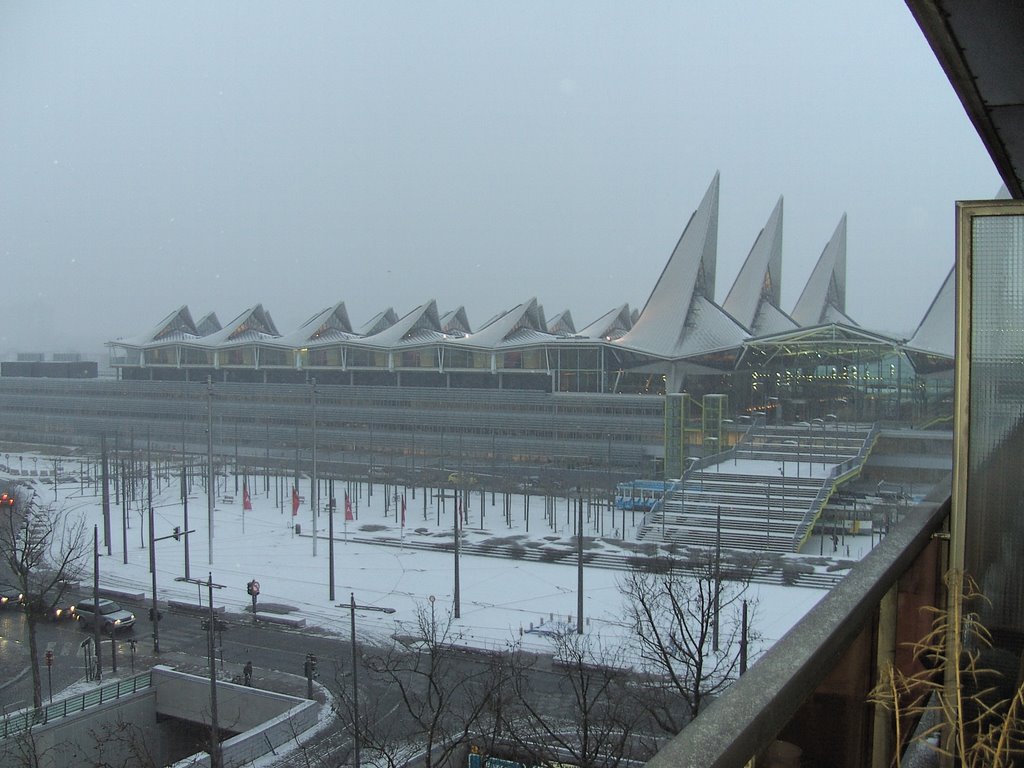 "VLINDERPALEIS" IN THE SNOW by Hanna Grundland