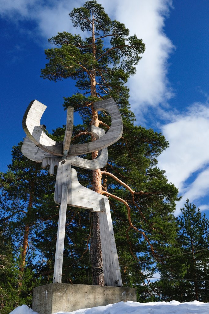 Holmenkollen Elk by christian.senger