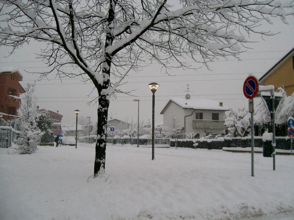 Gorgonzola - neve in via Berlinguer photo 1/3 by ilnani