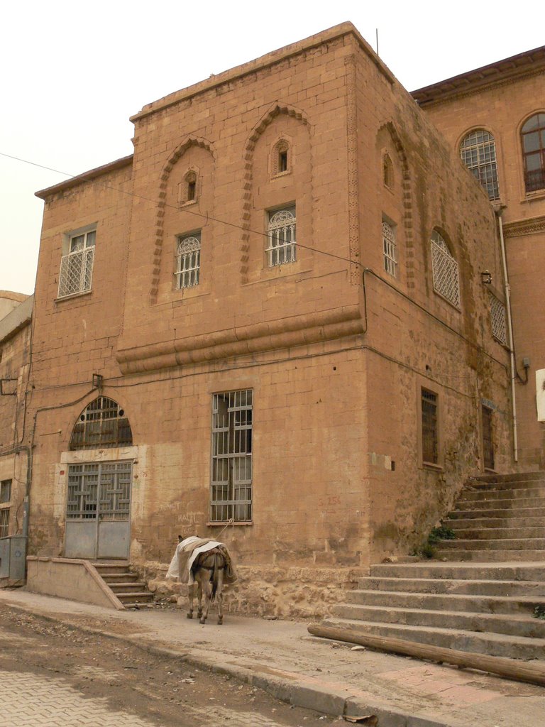 Mardin by Hikmet Sarisu