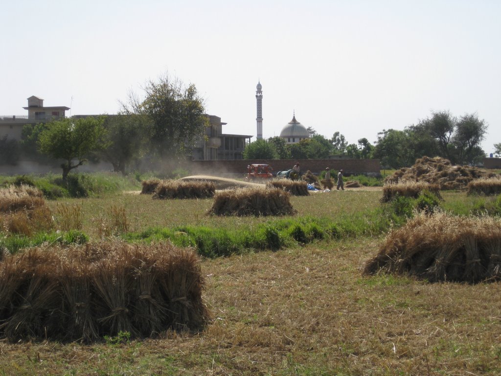 Rawalpindi Tehsil, Pakistan by Ammar K. Chaudhry