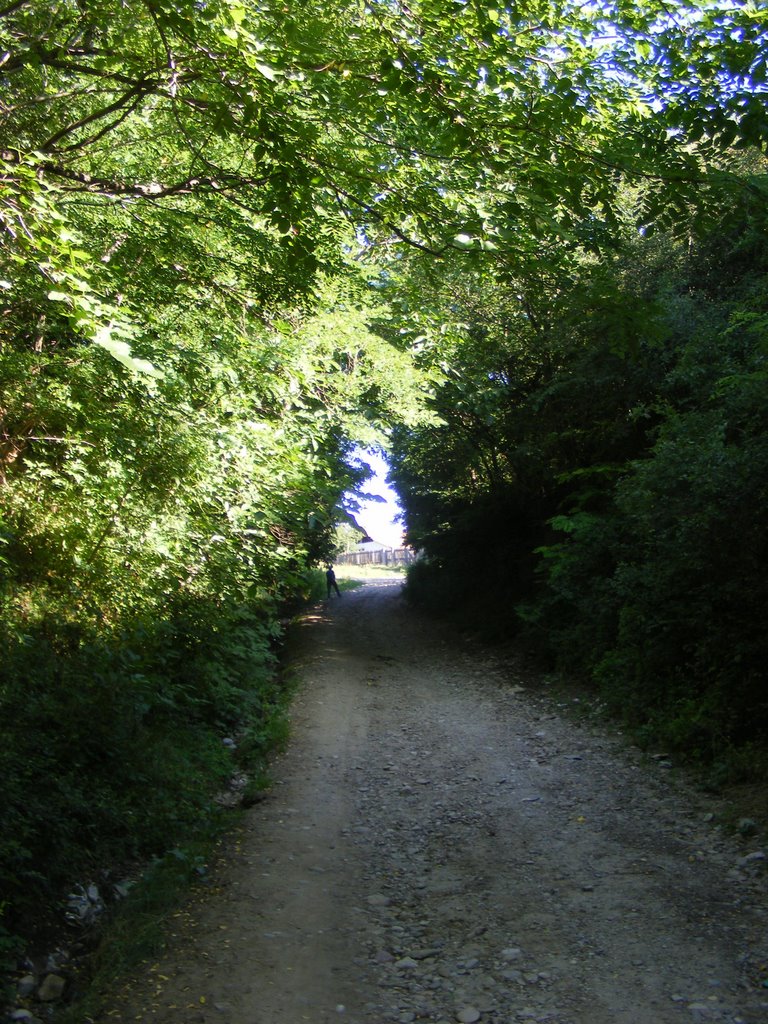 A street in Carlomanesti village by motzoi