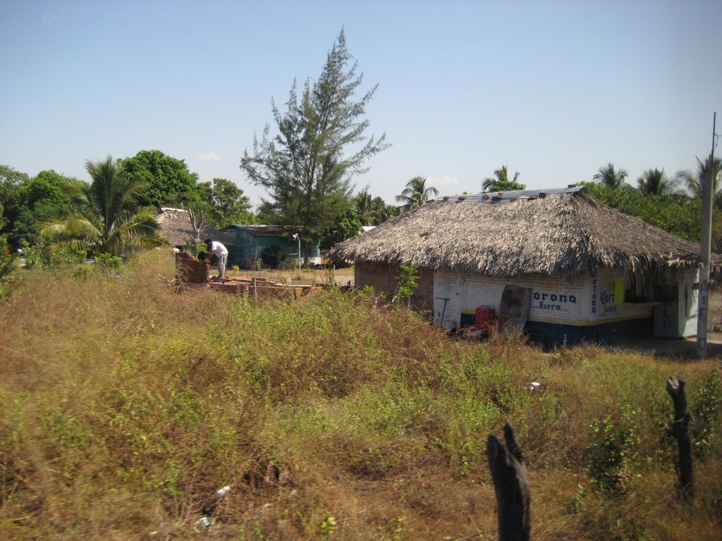 Local residences by mandyhedley