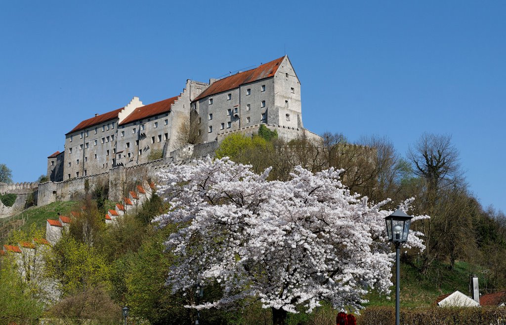 Blick zur Burg, Burghausen by Symphoniker