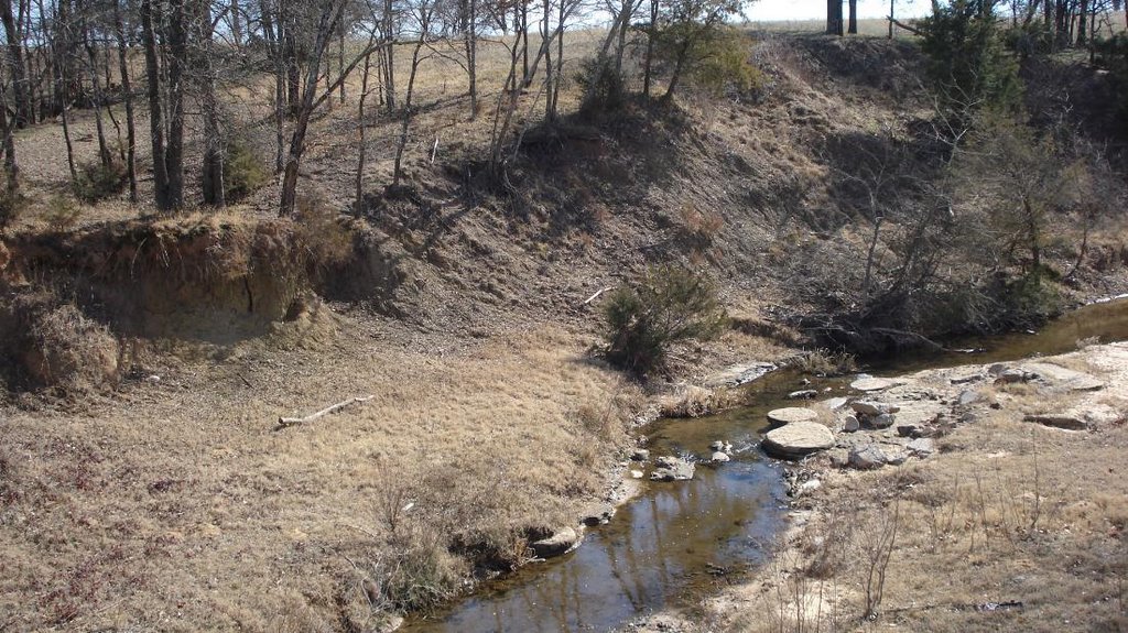 Eastman Creek Facing South by Bill74741