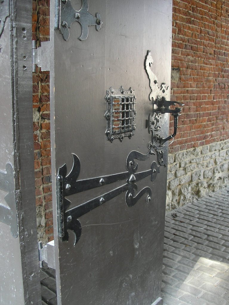 Jourdain Castle-Entrance door by marcewa