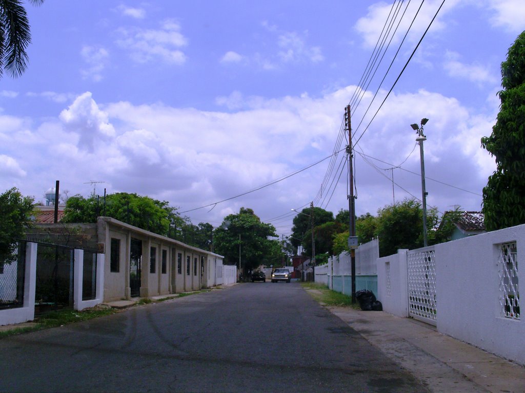 Tejido residencial_ by Fabio Zacarías-Socor…