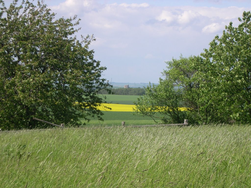 Blick von Bräunrode auf die Burgruine Arnstein by Birk Karsten Ecke