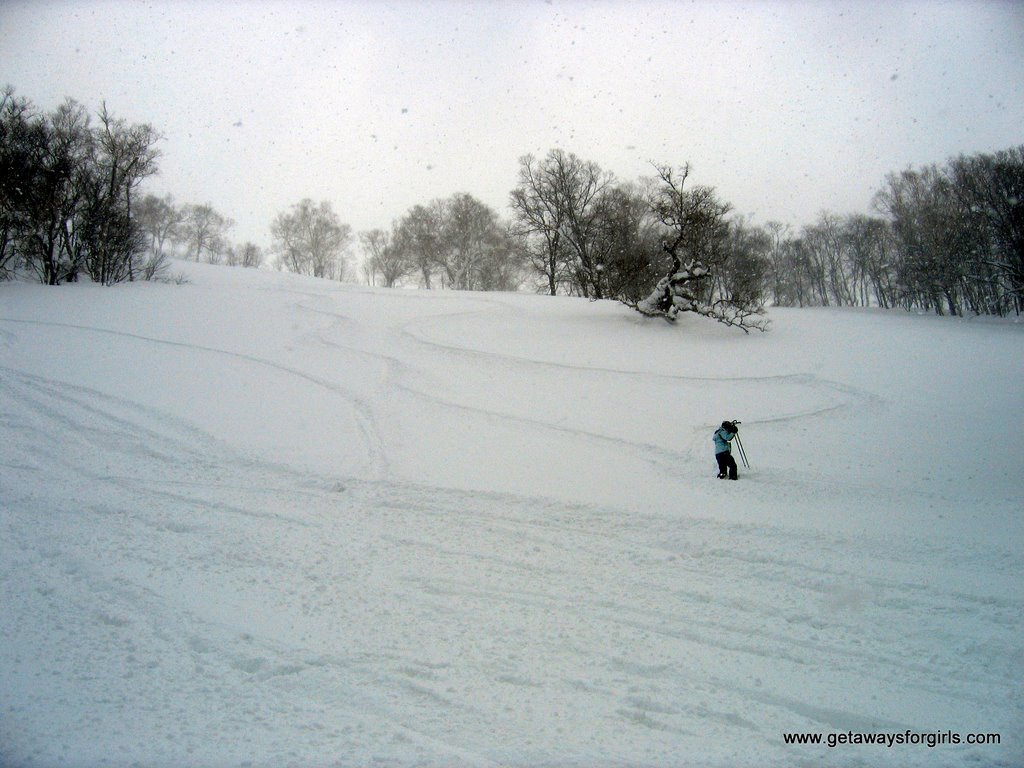 Moiwa aka La Ponte Powder Day by David Braid