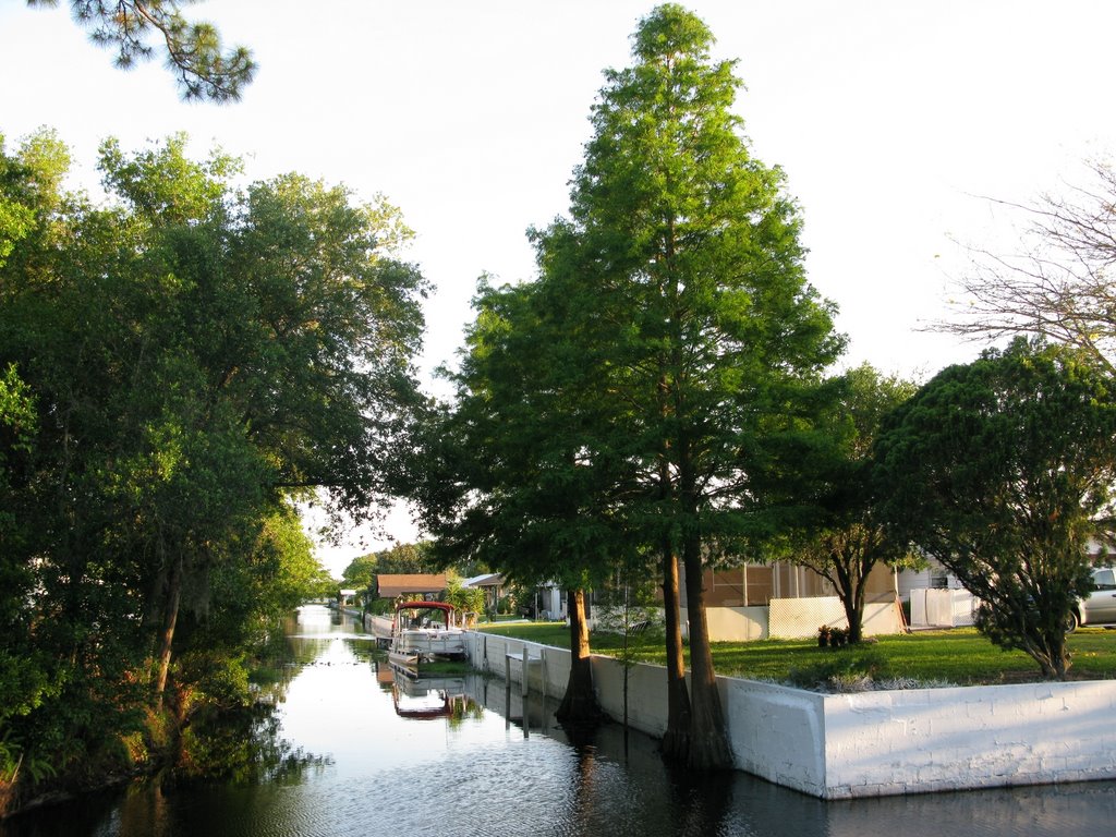 Residential canal leading to Alligator Lake by wndrin