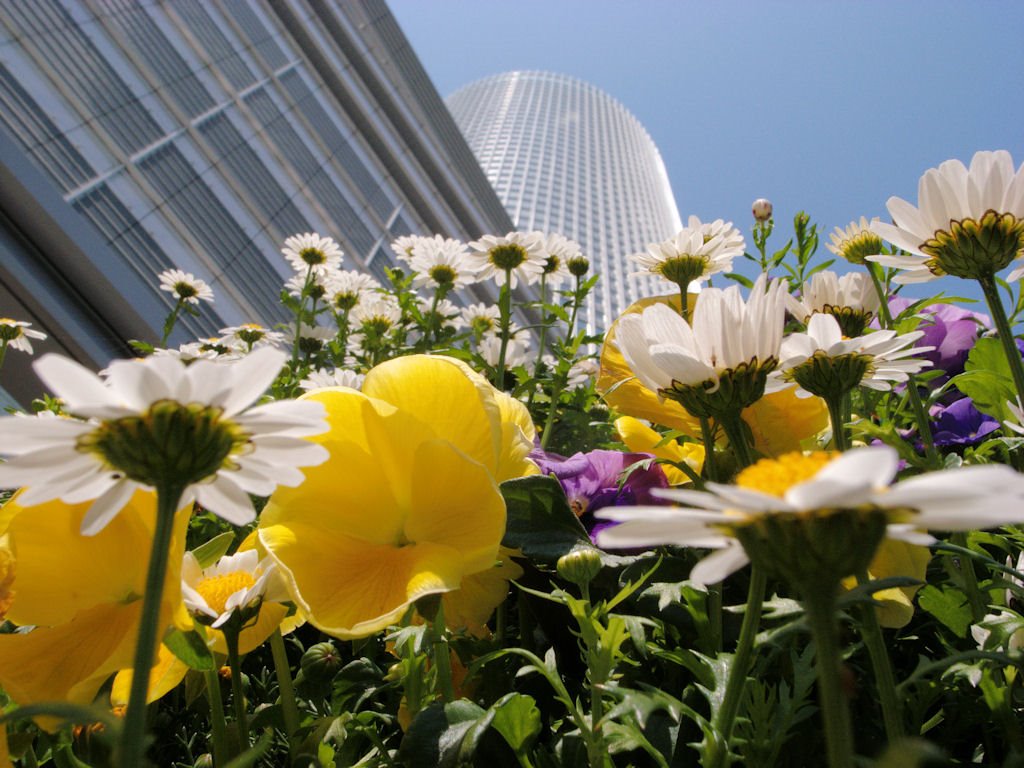 タワーズフラワーガーデン / Towers Flower Garden by yamagen1701