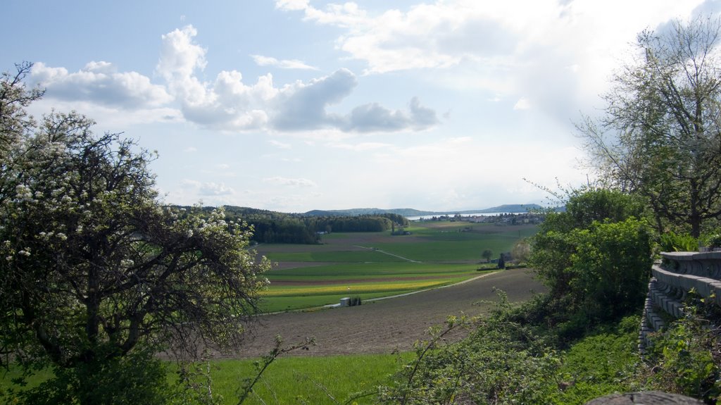 Lac de Bienne by Staffan Lundén