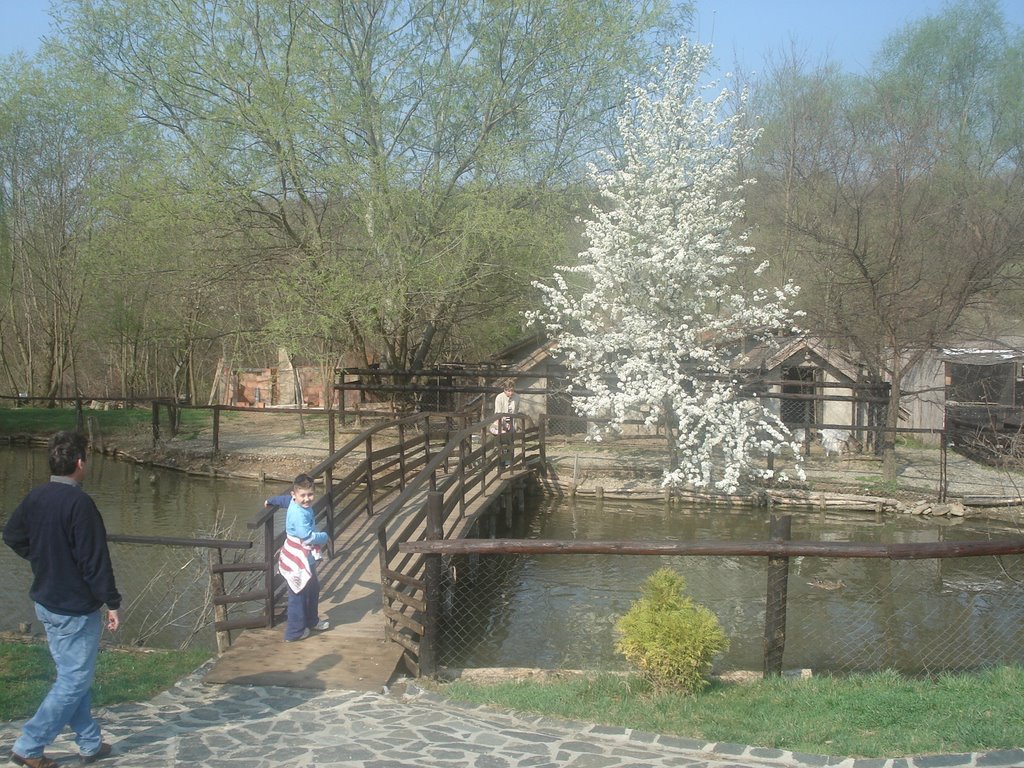 Ginovci,Macedonia by petarmakedonija