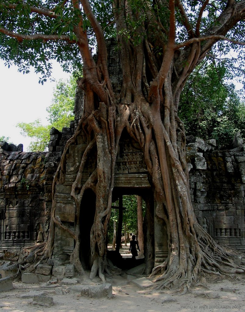 Ta Som Gate, Siem Reap, Cambodia by AnttiE