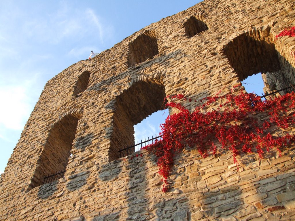 Bad Lippspringe, die Burgruine by enki-du