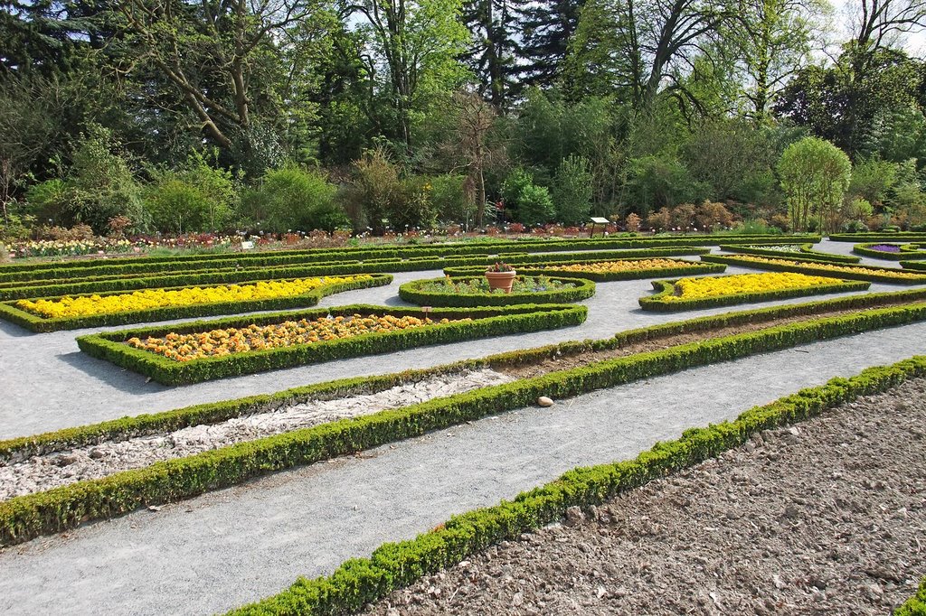 Jardín Botánico by Víctor Cespón