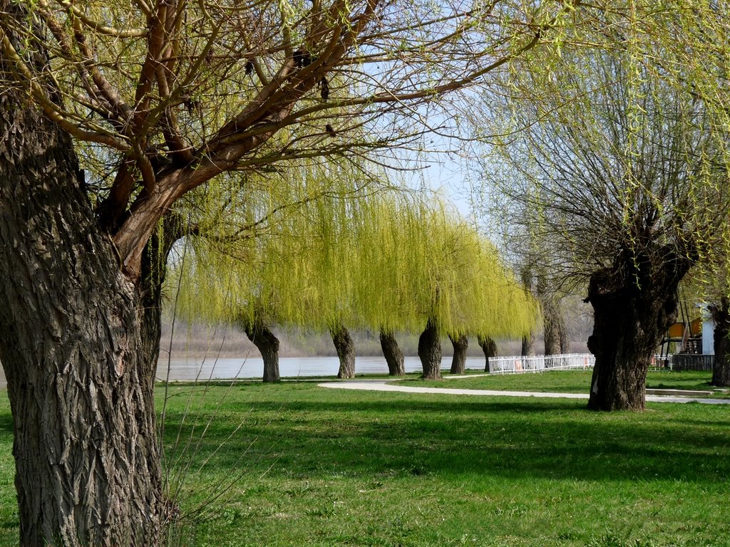 Csongrád Körös-Torok by Imréné Gyimesi