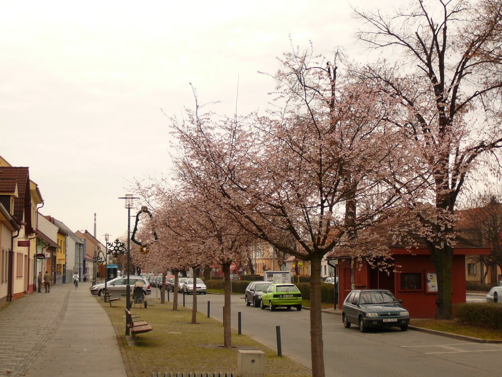 Rozkvetlé Staré město v prosinci by Adnej