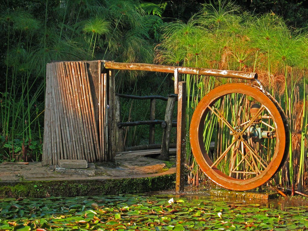 Roda d'agua (water wheel) - Jardim Botânico by Henrique Granado