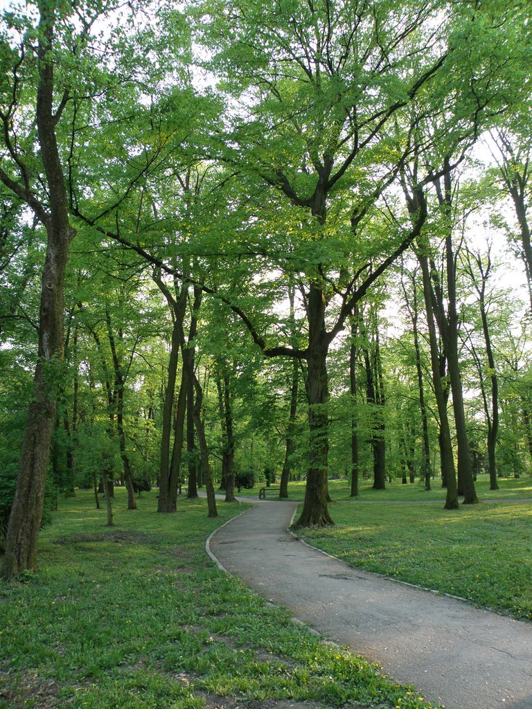 Đakovo, Strossmayerov park by Tomislav Vukovic