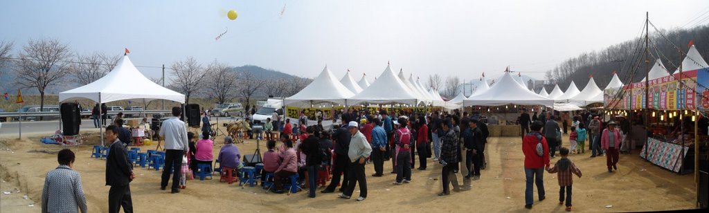 1st Keumgang Cherry Blossom Festival by o.b.