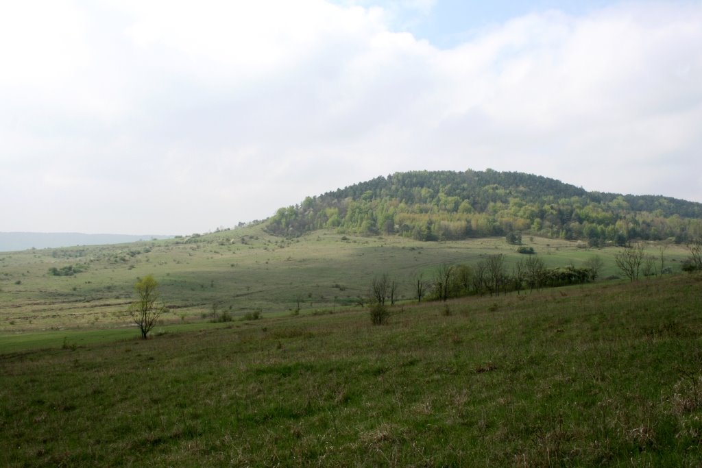 Kamelberg by © Steffen Veit