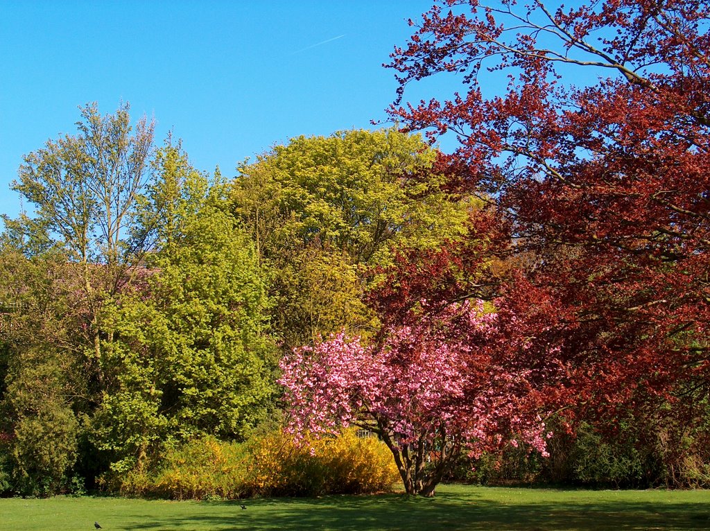 Park Schakenbosch by juliusdekeuning