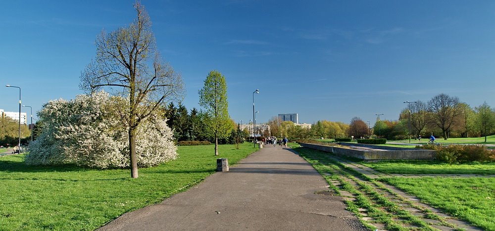 Park im. E. Szymańskiego www.gr.introne.com/photomoozg by Grzegorz Bijak